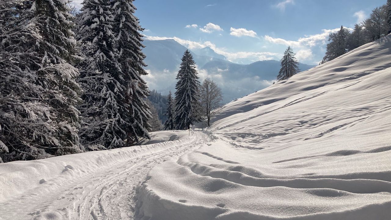 Winterwanderung Winterwanderung